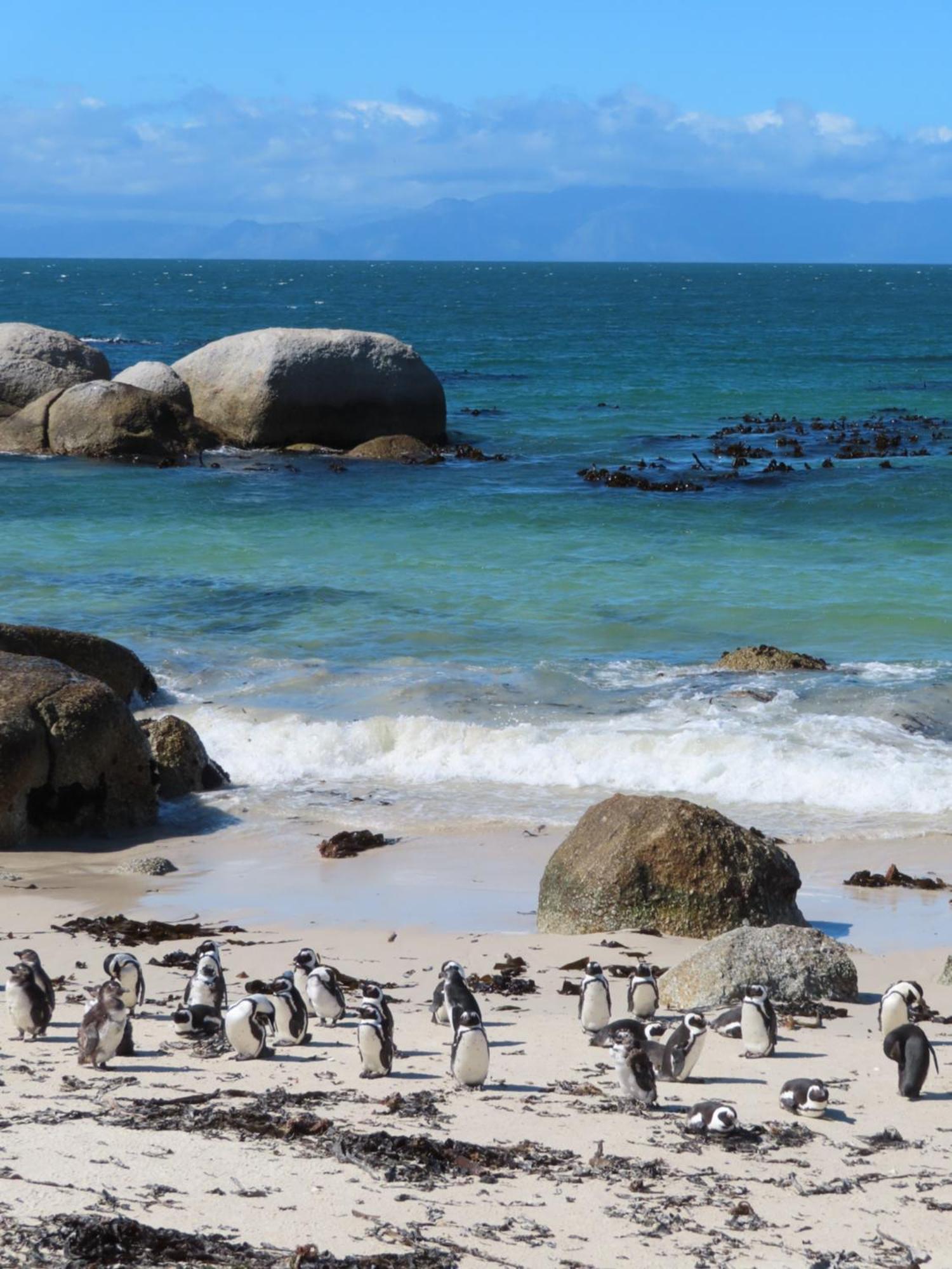 דירות Bonne Esperance, Simonʼs Town מראה חיצוני תמונה