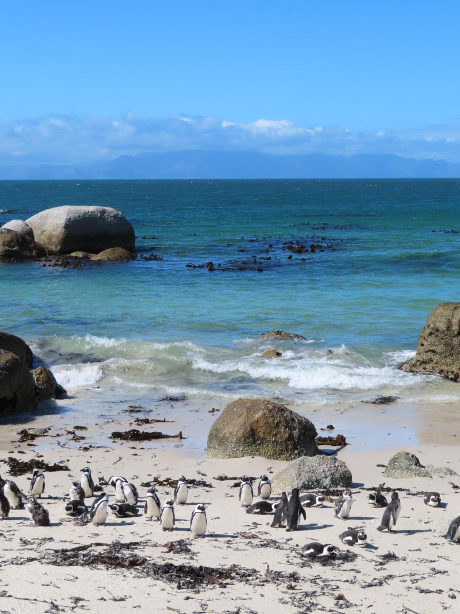 דירות Bonne Esperance, Simonʼs Town מראה חיצוני תמונה